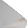 Carta Pelleaglio bianca 50g 37x50 cm | Crovegli