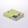 Tovaglia rider TNT idrorepellente verde mela 48x120 cm tête-à-tête ristorazione | Crovegli