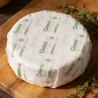 Carta politenata Greenline 45g 40x66 cm | Crovegli