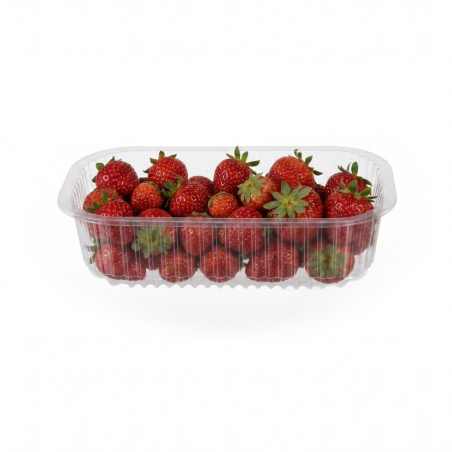 Vaschetta ortofrutta PP ILIP 500 g | Crovegli