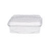 Vaschetta PET quadrata porta torta 18x18 cm H 65 mm | Crovegli