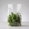 Busta polietilene forata per alimenti 25x35 cm | Crovegli