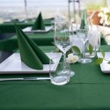 Tovagliolo Airlaid 1 velo 40x40 cm verde foresta | 50 pezzi