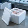 Scatola termica EPS bianco GN 33x53,5 cm H 28 cm alimenti | Crovegli
