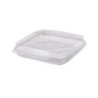 Vaschetta PET quadrata porta torta 22x22 cm H 50 mm | Crovegli