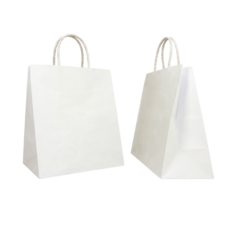 Borsa carta bianca manico ritorto take-away 25+15x24 | Crovegli