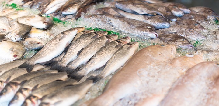 Pescheria